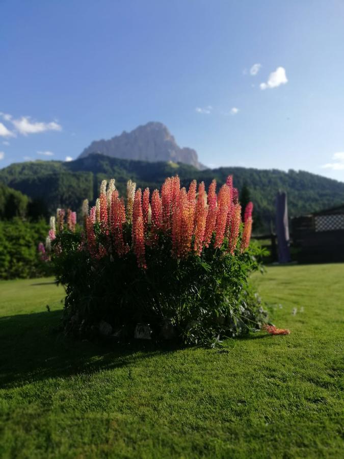 Cedepuent De Sot Apartment Selva di Val Gardena Ngoại thất bức ảnh